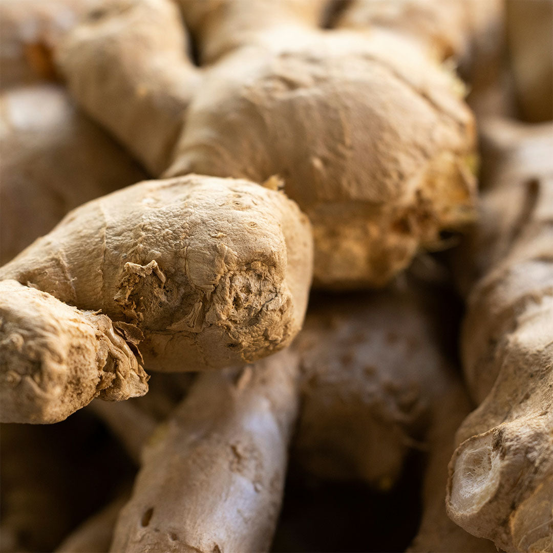 Ginger